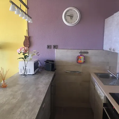 Climatise 2 Pieces Avec Terrasse Et Jardin A - Fr-1-780-59 Apartment Sainte-Maxime